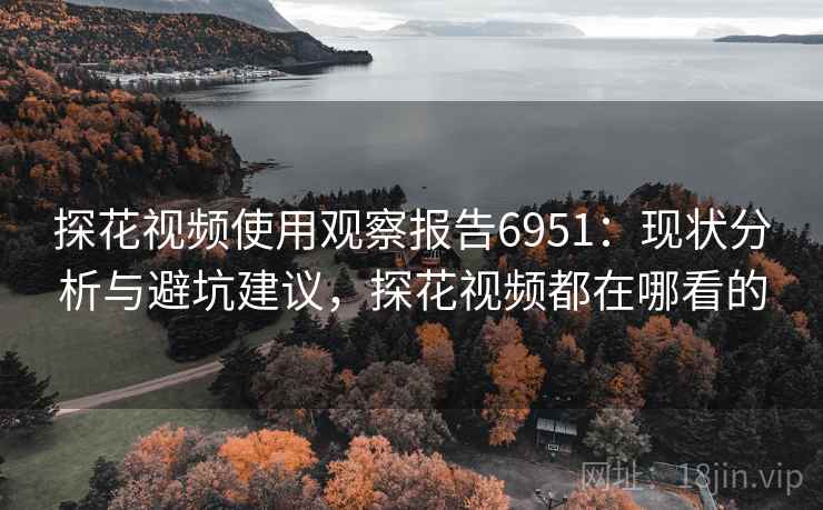 探花视频使用观察报告6951：现状分析与避坑建议，探花视频都在哪看的
