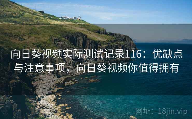 向日葵视频实际测试记录116：优缺点与注意事项，向日葵视频你值得拥有