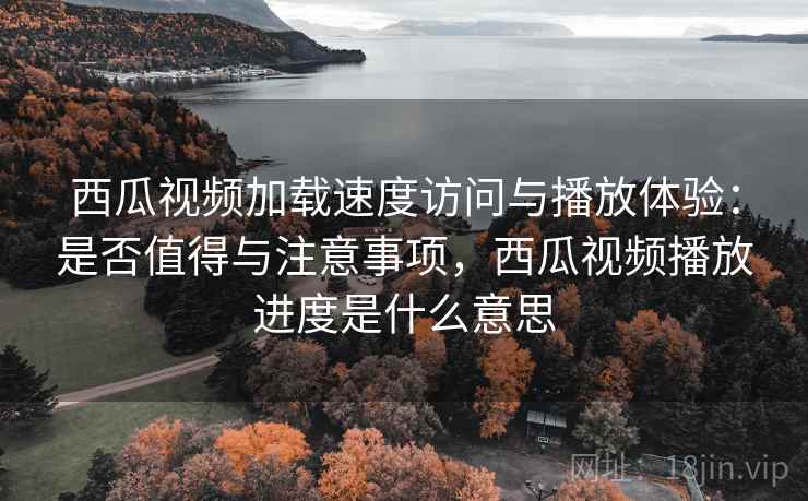 西瓜视频加载速度访问与播放体验：是否值得与注意事项，西瓜视频播放进度是什么意思
