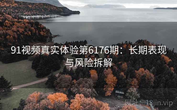 91视频真实体验第6176期：长期表现与风险拆解