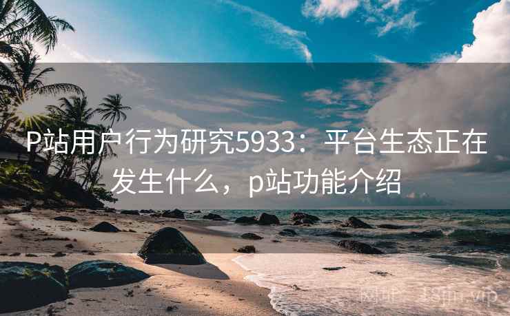 P站用户行为研究5933：平台生态正在发生什么，p站功能介绍