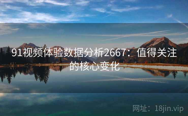 91视频体验数据分析2667：值得关注的核心变化